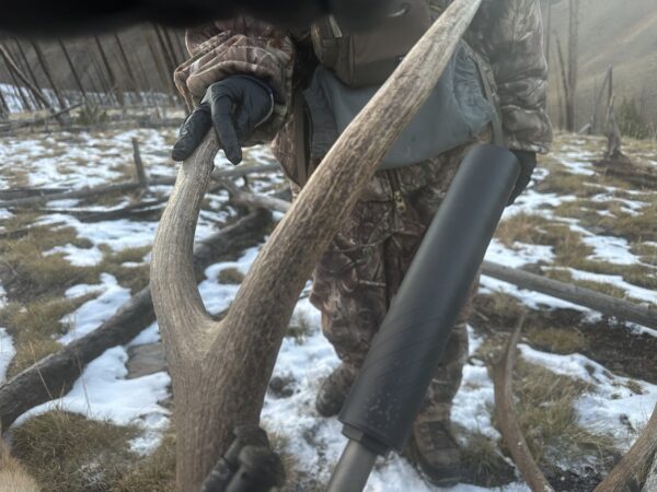 The Jackalope - Image 3