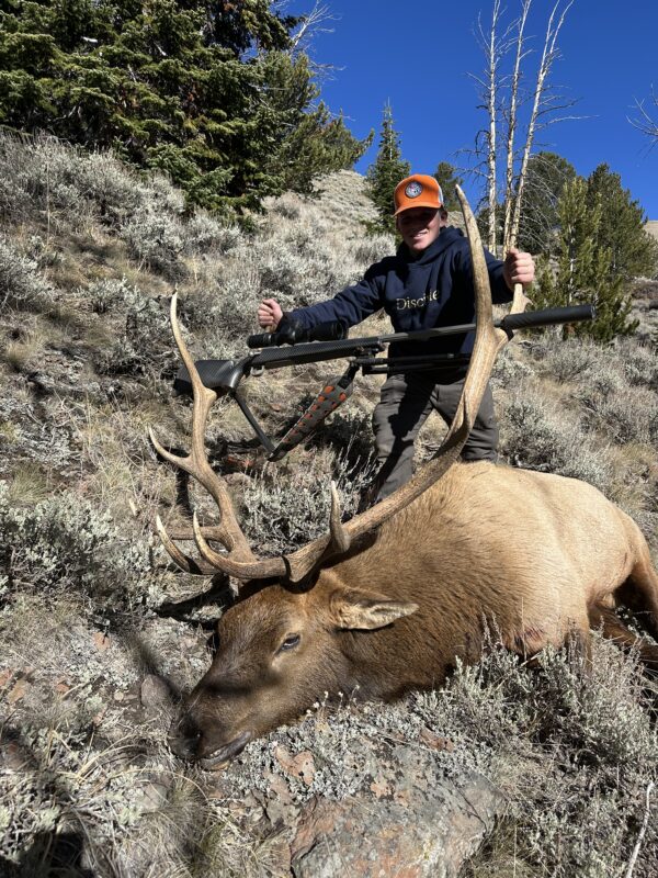 The Jackalope - Image 2