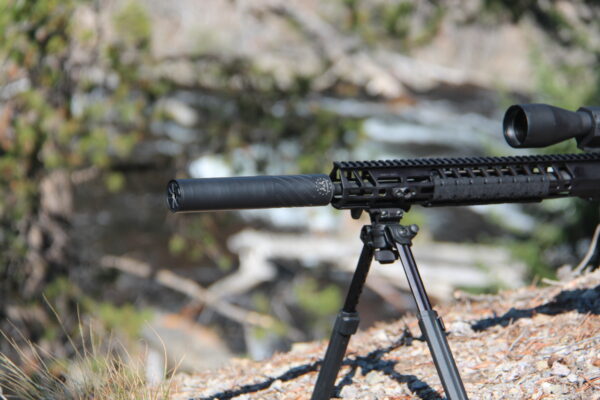 The Jackalope - Image 9