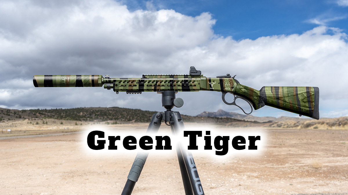 Wyoming Takedown 500 Custom Cerakote - Image 2