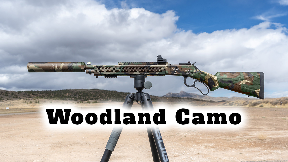 Wyoming Takedown 500 Custom Cerakote - Image 4